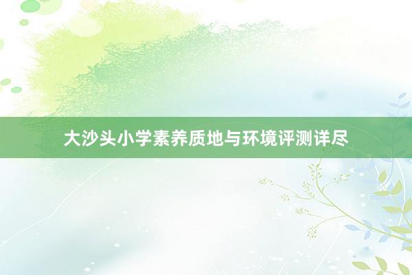 大沙头小学素养质地与环境评测详尽